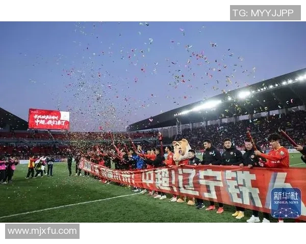 辽宁队斩获全国甲级联赛足球冠军 辽宁队斩获全国甲级联赛足球冠军